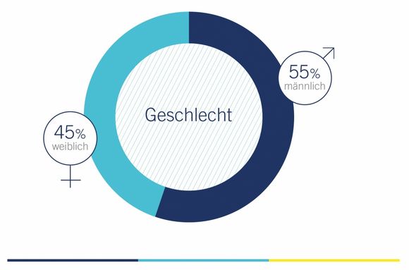 Geschlechter Befragung Avantgarde Experts Studie